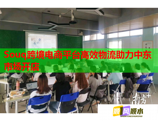 Souq跨境电商平台高效物流助力中东市场开店