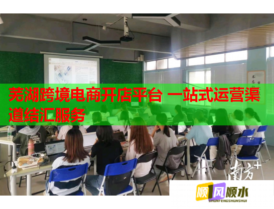 芜湖跨境电商开店平台 一站式运营渠道结汇服务 芜湖跨境电商开店平台 一站式运营渠道结汇服务