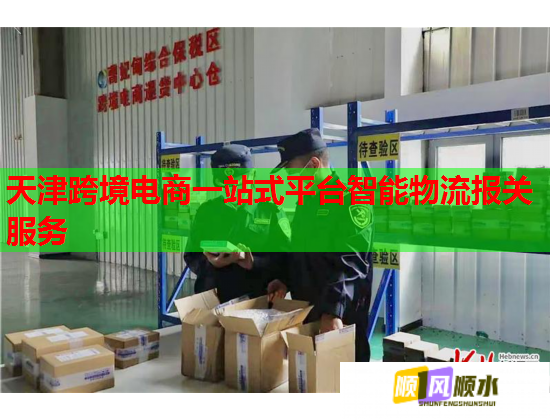 天津跨境电商一站式平台智能物流报关服务 天津跨境电商一站式平台智能物流报关服务