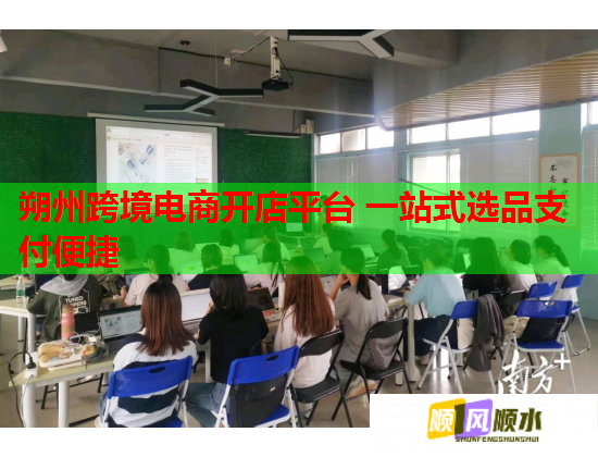 朔州跨境电商开店平台 一站式选品支付便捷