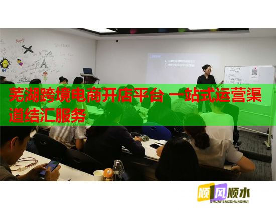 芜湖跨境电商开店平台 一站式运营渠道结汇服务 芜湖跨境电商开店平台 一站式运营渠道结汇服务