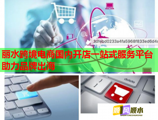 丽水跨境电商国内开店一站式服务平台助力品牌出海