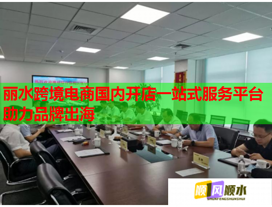 丽水跨境电商国内开店一站式服务平台助力品牌出海 丽水跨境电商国内开店一站式服务平台助力品牌出海