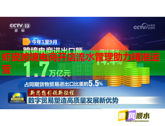 虾皮跨境电商开店流水管理助力精准运营