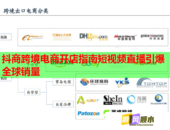 抖商跨境电商开店指南短视频直播引爆全球销量