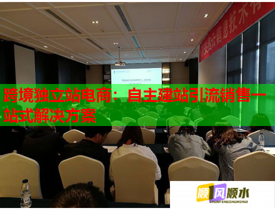 跨境独立站电商：自主建站引流销售一站式解决方案