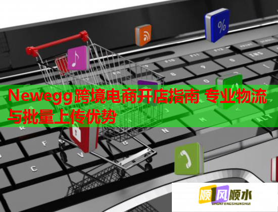 Newegg跨境电商开店指南 专业物流与批量上传优势