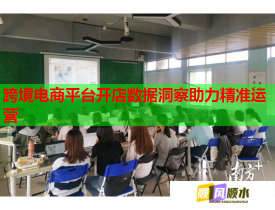 跨境电商平台开店数据洞察助力精准运营