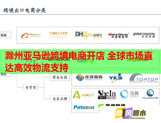 滁州亚马逊跨境电商开店 全球市场直达高效物流支持