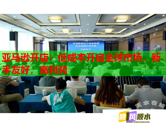 亚马逊开店：低成本开启全球市场，新手友好，高利润