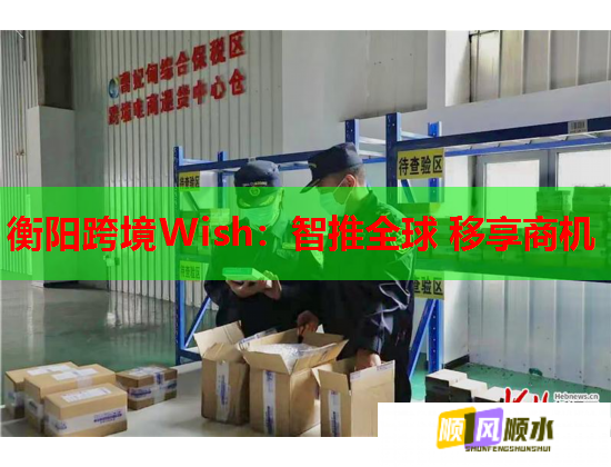 衡阳跨境Wish：智推全球 移享商机