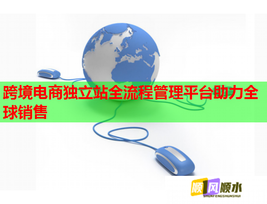 跨境电商独立站全流程管理平台助力全球销售