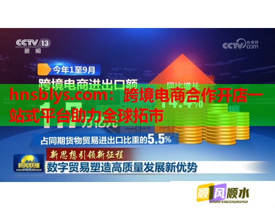 跨境电商合作开店一站式平台助力全球拓市