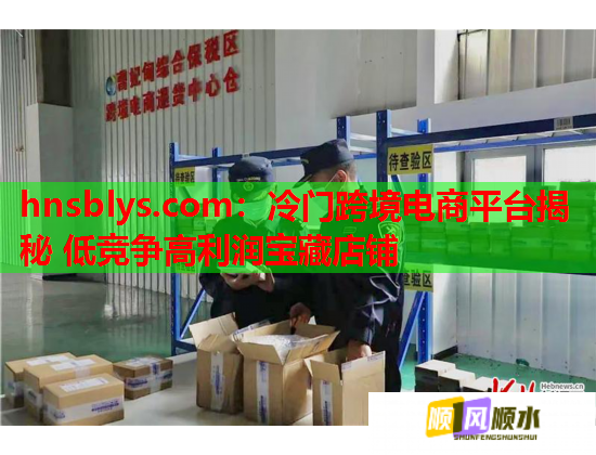 hnsblys.com：冷门跨境电商平台揭秘 低竞争高利润宝藏店铺