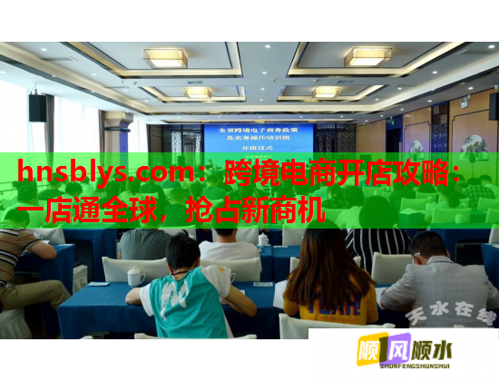 hnsblys.com：跨境电商开店攻略：一店通全球，抢占新商机