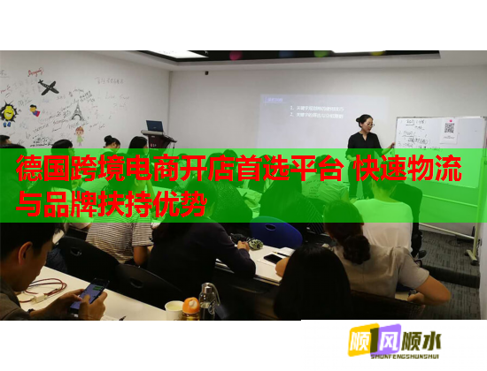 德国跨境电商开店首选平台 快速物流与品牌扶持优势