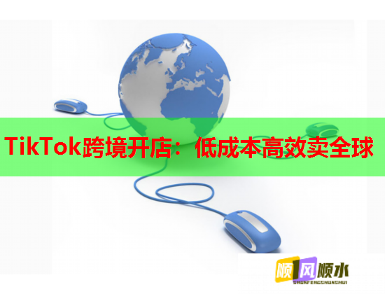 TikTok跨境开店：低成本高效卖全球