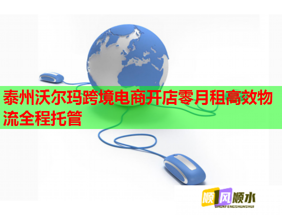 泰州沃尔玛跨境电商开店零月租高效物流全程托管