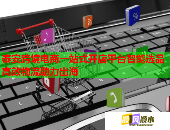 泰安跨境电商一站式开店平台智能选品高效物流助力出海
